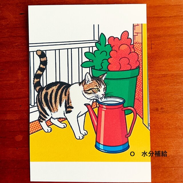 ねこパンツくん　　ポストカード ねこちゃんポストカード☆選べる3枚セット | iichi 日々の暮らしを