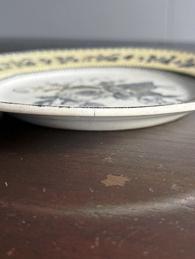 レア◯H.B &CIE 平皿　N-867/フランスアンティーク/クレイユ Creil クレイユ 平皿 植物柄 フランス アンティーク 0502543 | iichi