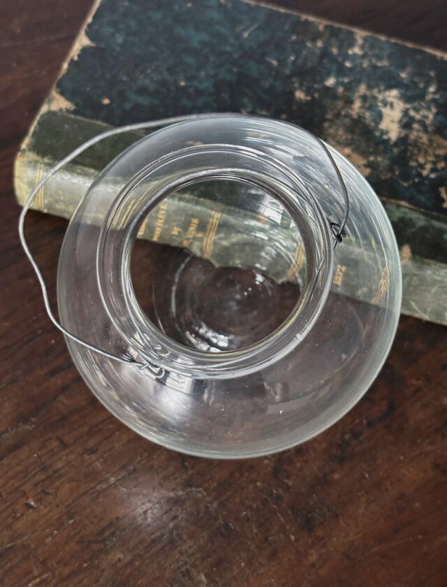 金魚鉢 アクアリウム フラワーベース ガラス 花瓶 花器 フランス