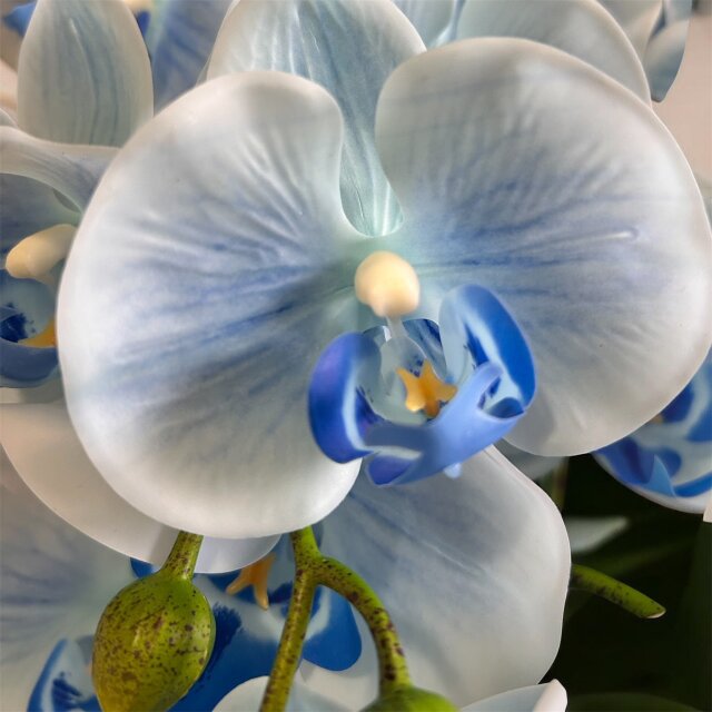 光触媒 人工観葉植物 ウォールグリーン フェイクグリーン お供え胡蝶蘭