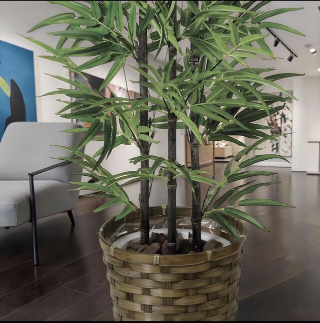 光触媒 人工観葉植物 ウォールグリーン フェイクグリーン 黒竹 | iichi