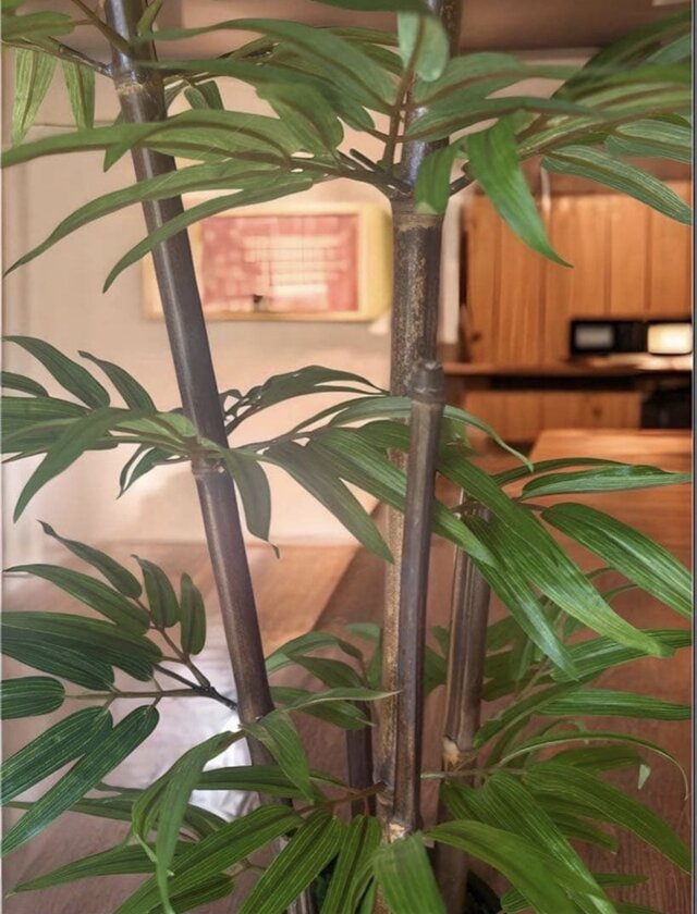 光触媒 人工観葉植物 ウォールグリーン フェイクグリーン 黒竹 | iichi