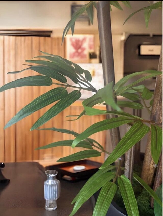 光触媒 人工観葉植物 ウォールグリーン フェイクグリーン 黒竹 | iichi