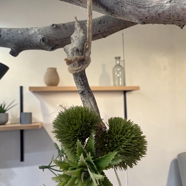 光触媒　人工観葉植物　ウォールグリーン　フェイクグリーン　ボタニカルチランジア 光触媒 人工観葉植物 ウォールグリーン フェイクグリーン 壁掛け