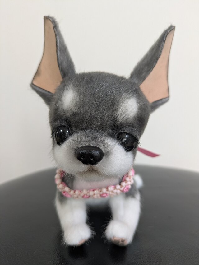 うちの子オーダーチワワ白 ぬいぐるみ☆チワワ☆子犬☆白×黒 | iichi 日々の暮らしを心地よくする