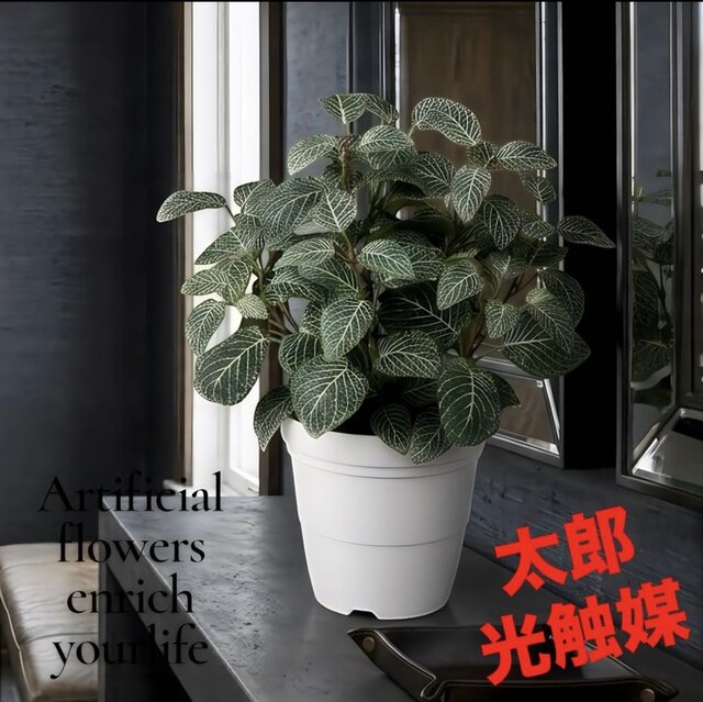 光触媒 人工観葉植物 ウォールグリーン フェイクグリーン フィットニア