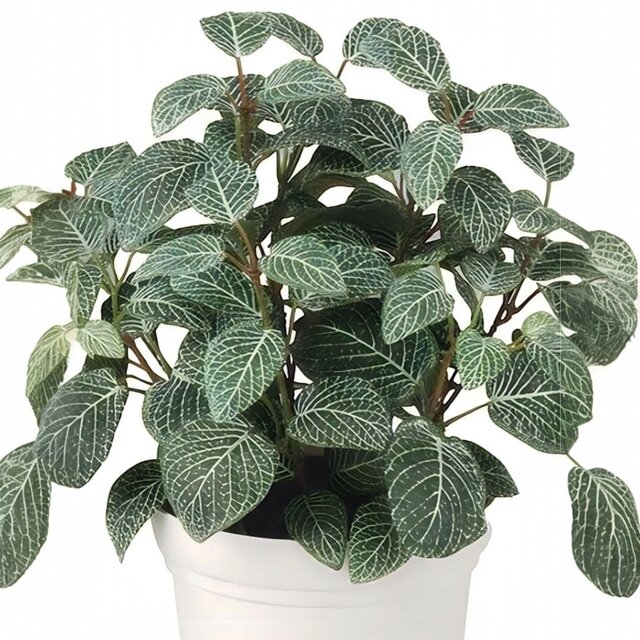 光触媒 人工観葉植物 ウォールグリーン フェイクグリーン フィットニア