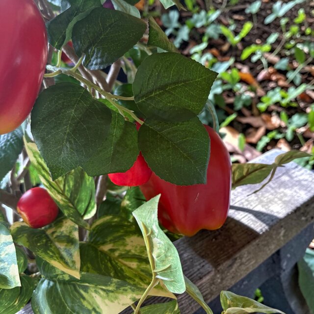 光触媒 観葉植物 ウォールグリーン フェイクグリーン リンゴ 林檎