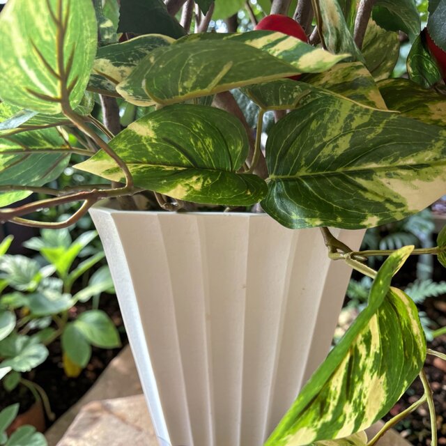 光触媒 観葉植物 ウォールグリーン フェイクグリーン リンゴ 林檎
