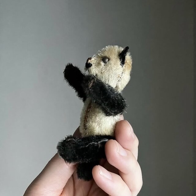 アンティーク シュコー 初期 ミニチュアパンダ | iichi 日々の暮らしを