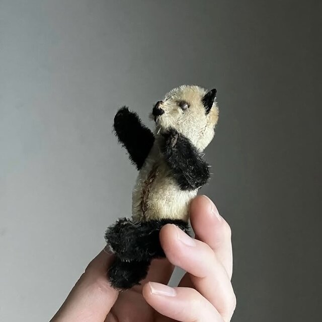 アンティーク シュコー 初期 ミニチュアパンダ | iichi 日々の暮らしを