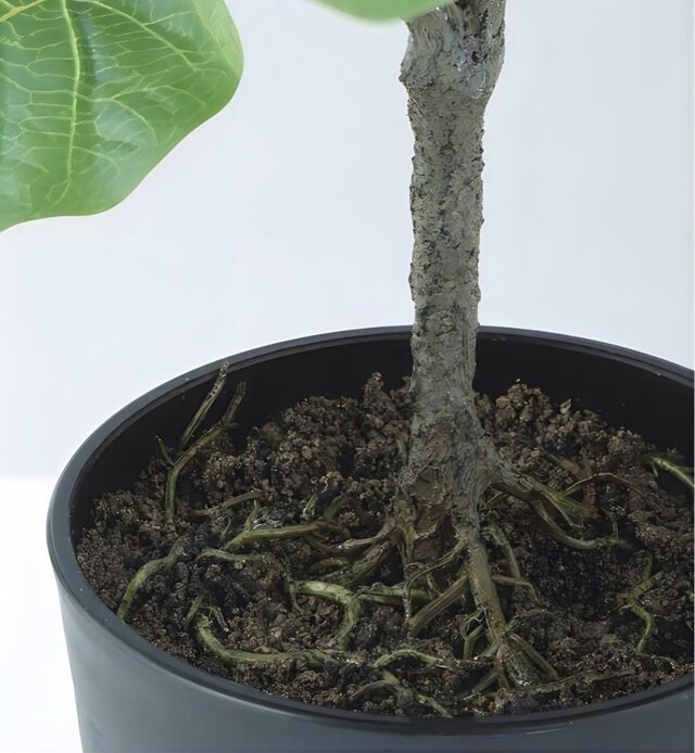 光触媒　人工観葉植物　ウォールグリーン　フェイクグリーン　アルテシマルーツ 光触媒 人工観葉植物 ウォールグリーン フェイクグリーン アルテシマ