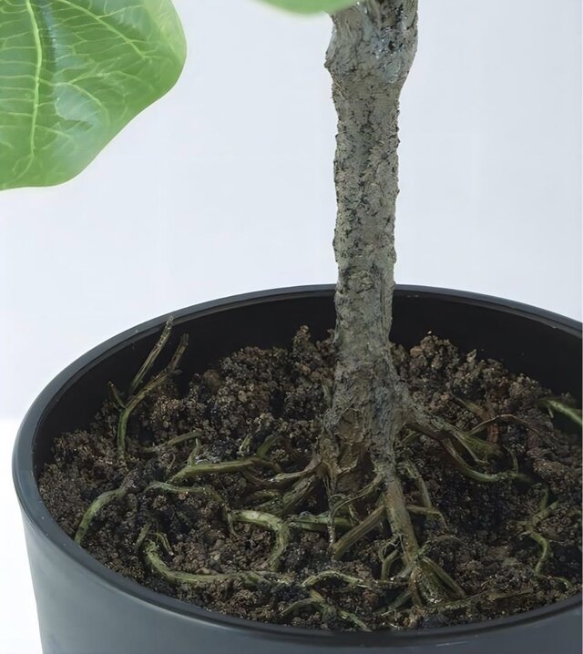 光触媒 人工観葉植物 ウォールグリーン フェイクグリーン デコラトリ