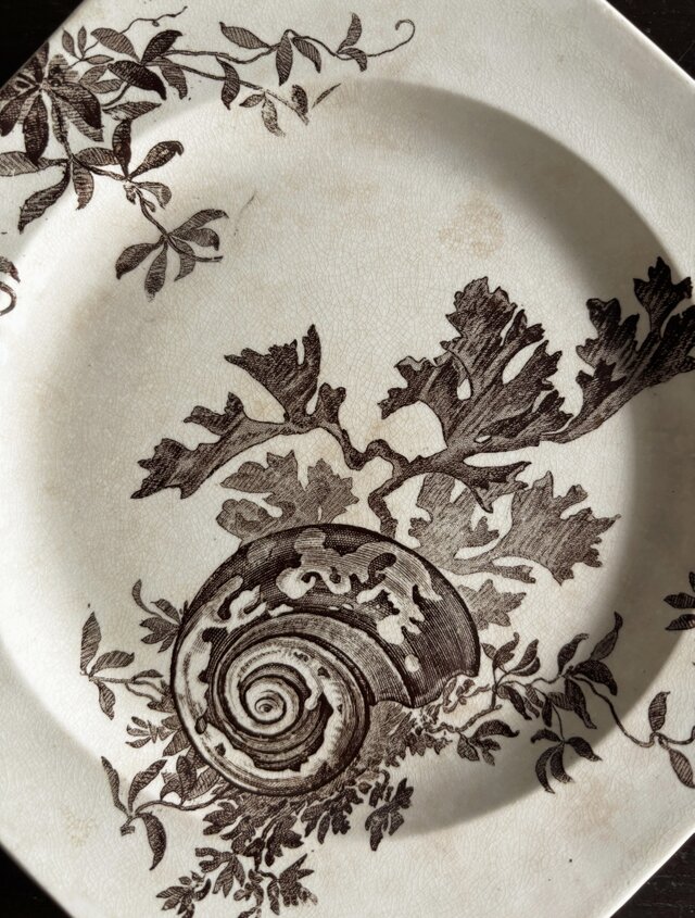 Wedgwood NEPTUNE ウェッジウッド コンポティエ コンポート