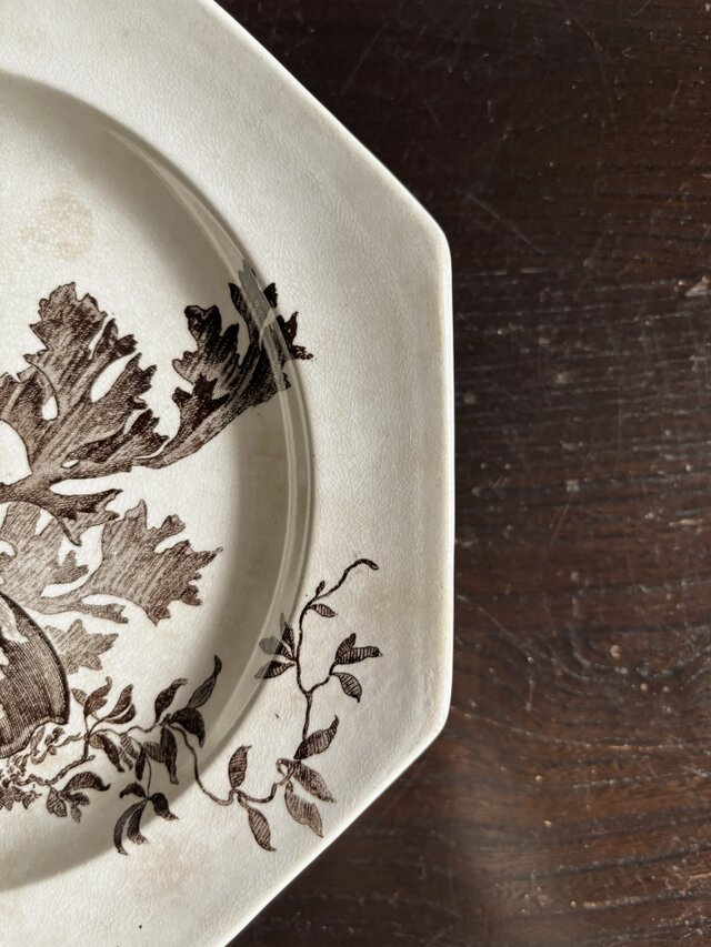Wedgwood NEPTUNE ウェッジウッド コンポティエ コンポート