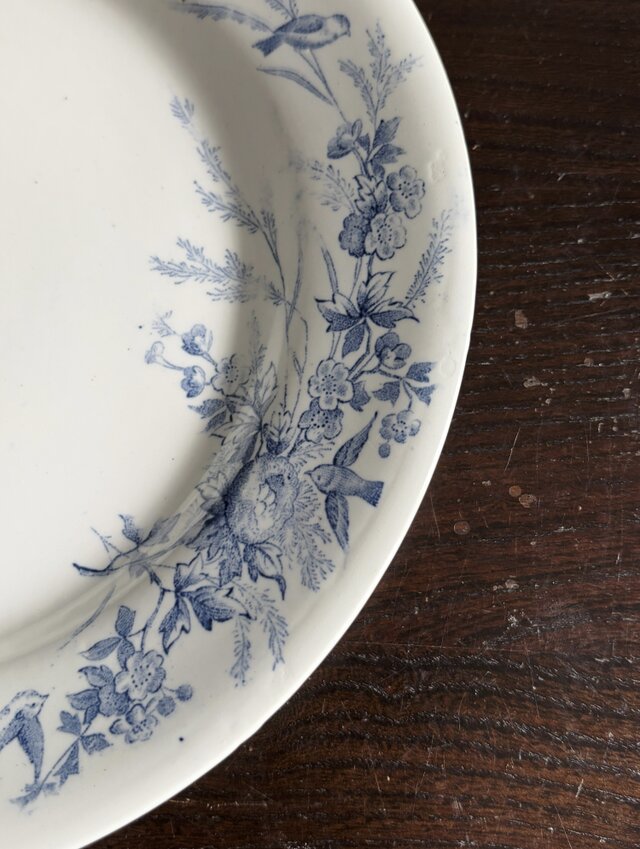 Creil&Montereau リノット 平皿 クレイユモントロー クレイユエ
