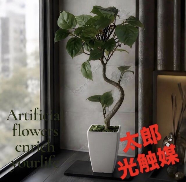 光触媒 人工観葉植物 ウォールグリーン フェイクグリーン カジュマル