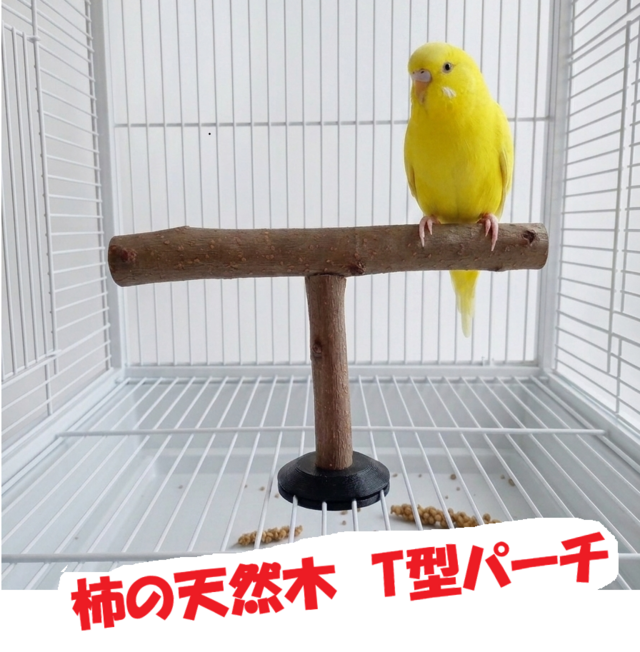T型パーチ＜柿の天然木＞【2個セット】止まり木、文鳥、インコ、オウム