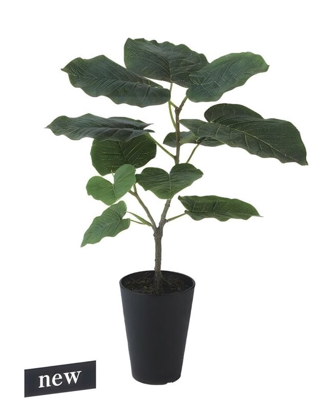 光触媒　人工観葉植物　ウォールグリーン　フェイクグリーン　ウンベラータFST 光触媒 人工観葉植物 ウォールグリーン フェイクグリーン HQ