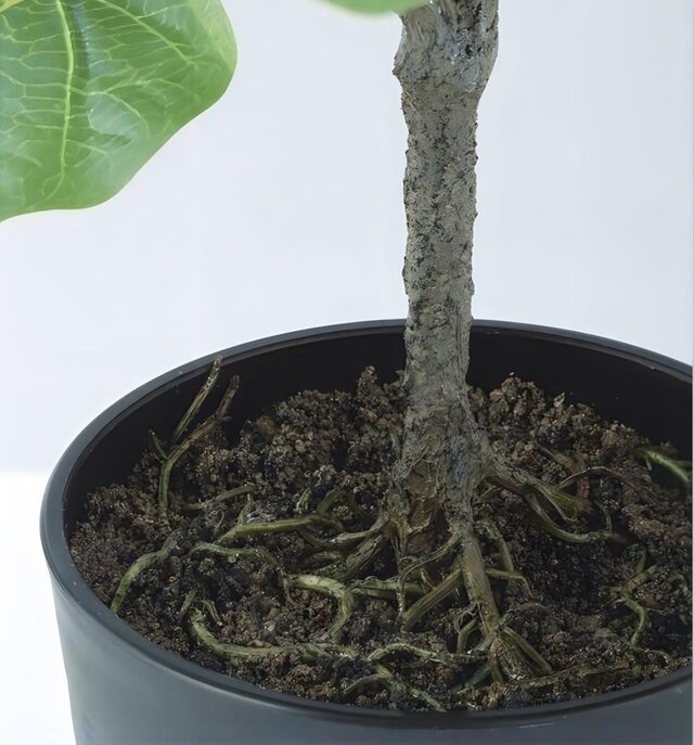 光触媒 人工観葉植物 ウォールグリーン フェイクグリーン HQ