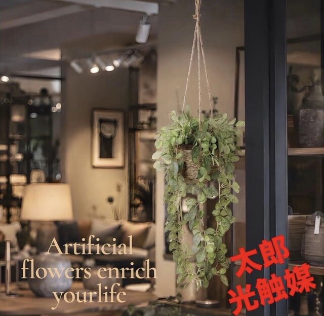 光触媒 人工観葉植物 ウォールグリーン フェイクグリーン フィットニア