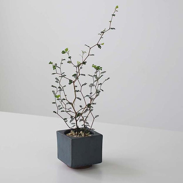 MYK：FLOWER POT- rin（2号）【 凛 瓦 花瓶 花器 フラワーベース 多肉