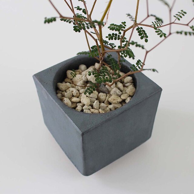 MYK：FLOWER POT- rin（2号）【 凛 瓦 花瓶 花器 フラワーベース 多肉