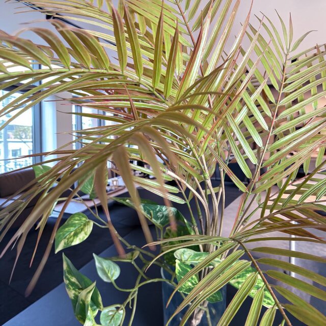 光触媒 人工観葉植物 ウォールグリーン フェイクグリーン マジカル