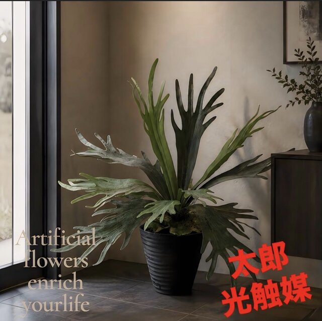光触媒　人工観葉植物　ウォールグリーン　フェイクグリーン　コウモリランデコ 光触媒 人工観葉植物 ウォールグリーン フェイクグリーン コウモリラン