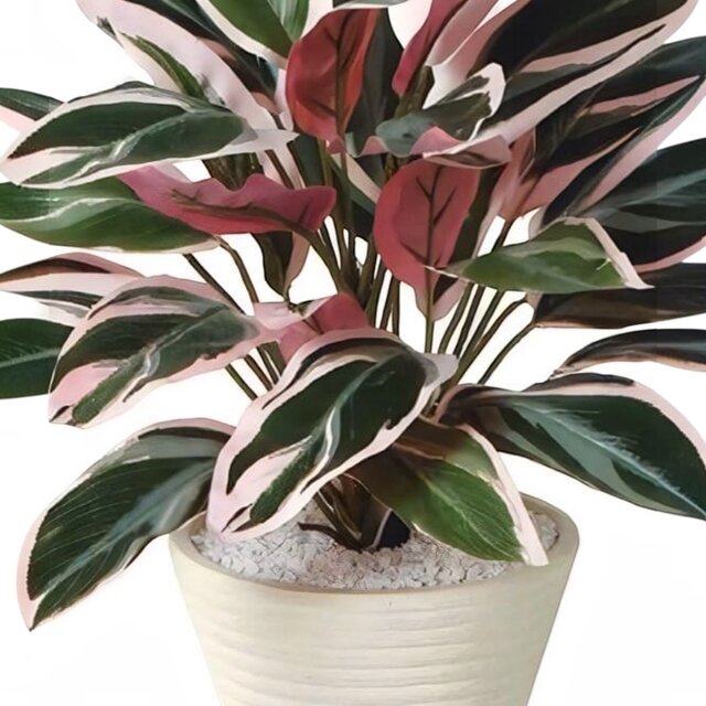 光触媒 人工観葉植物 ウォールグリーン フェイクグリーン トリオスター