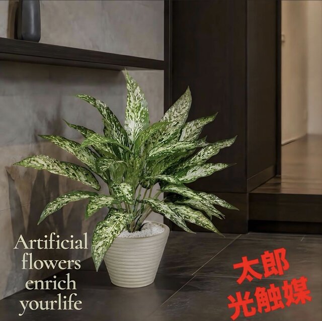 光触媒 人工観葉植物 ウォールグリーン フェイクグリーン アグラオネマ