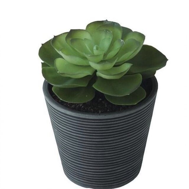 光触媒 人工観葉植物 ウォールグリーン フェイクグリーン エケベリア