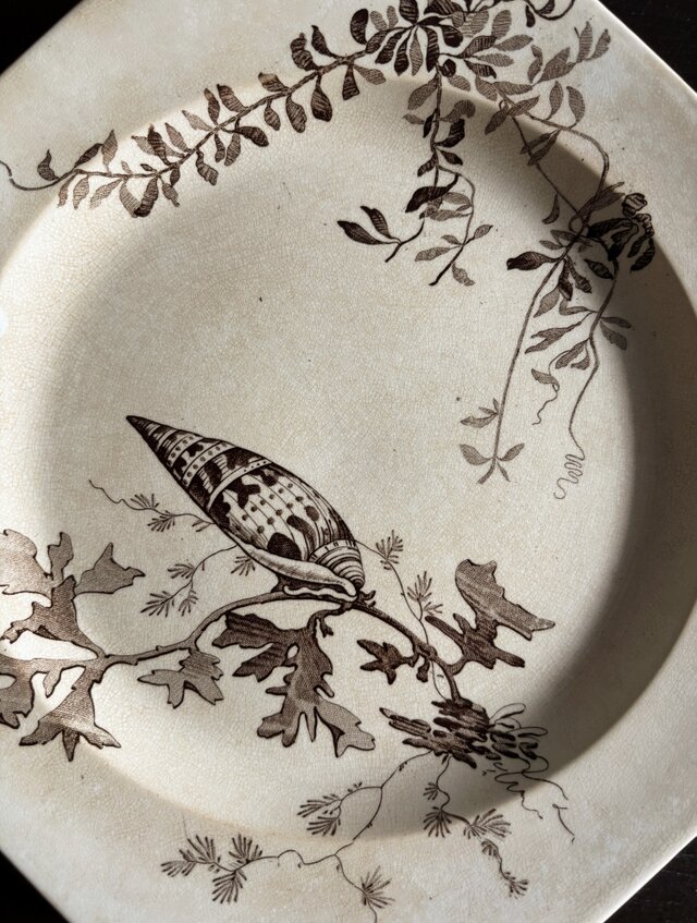 Wedgwood NEPTUNE ウェッジウッド ネプチューン オクトゴナル 平皿