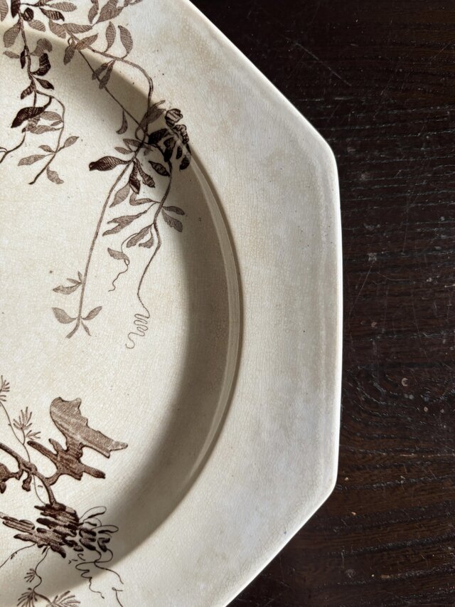Wedgwood NEPTUNE ウェッジウッド ネプチューン オクトゴナル 平皿