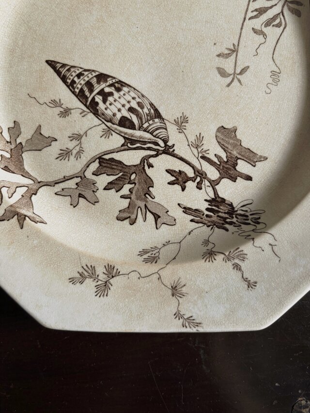 アメリカンアンティーク　米国ノールズ製絵皿サウンドオブミュージック　５枚セット Wedgwood NEPTUNE ウェッジウッド ネプチューン オクトゴナル 平皿