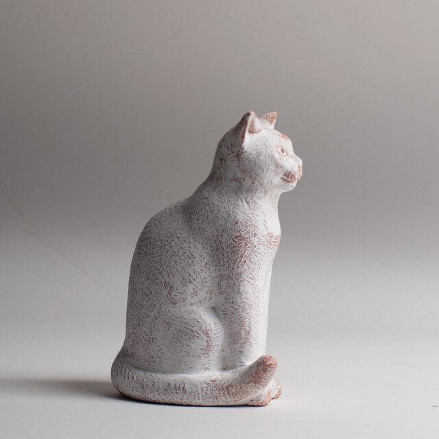 お座り猫 20260622 Sitting cat 20260622 | iichi 日々の暮らしを