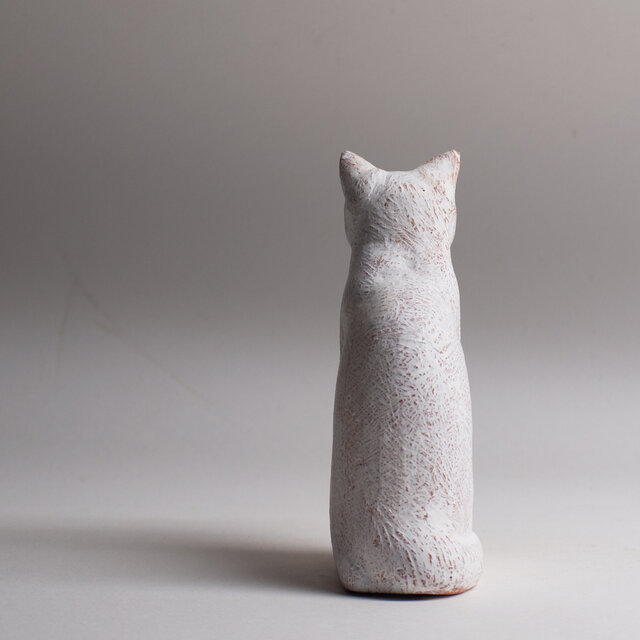お座り猫 20260622 Sitting cat 20260622 | iichi 日々の暮らしを