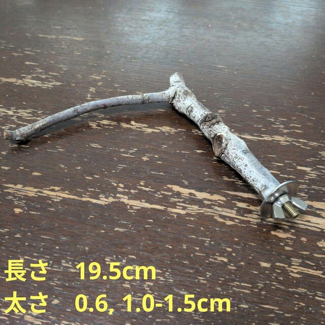 止まり木（枝：TOY-08-015）T616 | iichi 日々の暮らしを心地よくする