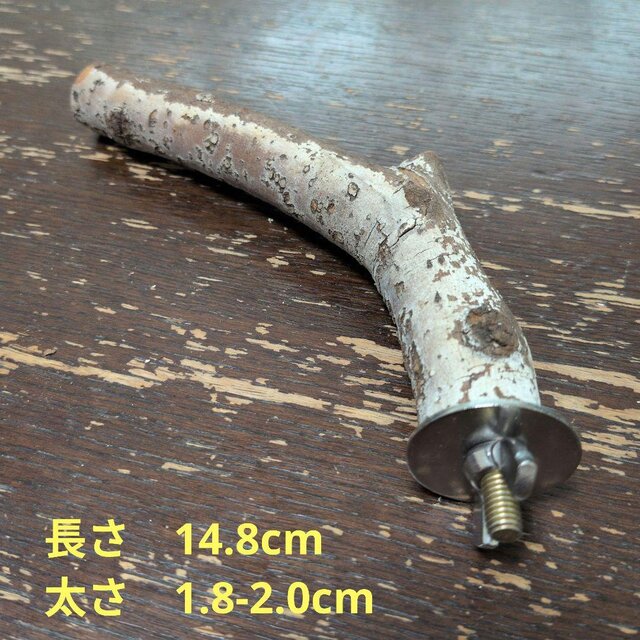 止まり木（枝：TOY-08-015）T618 | iichi 日々の暮らしを心地よくする