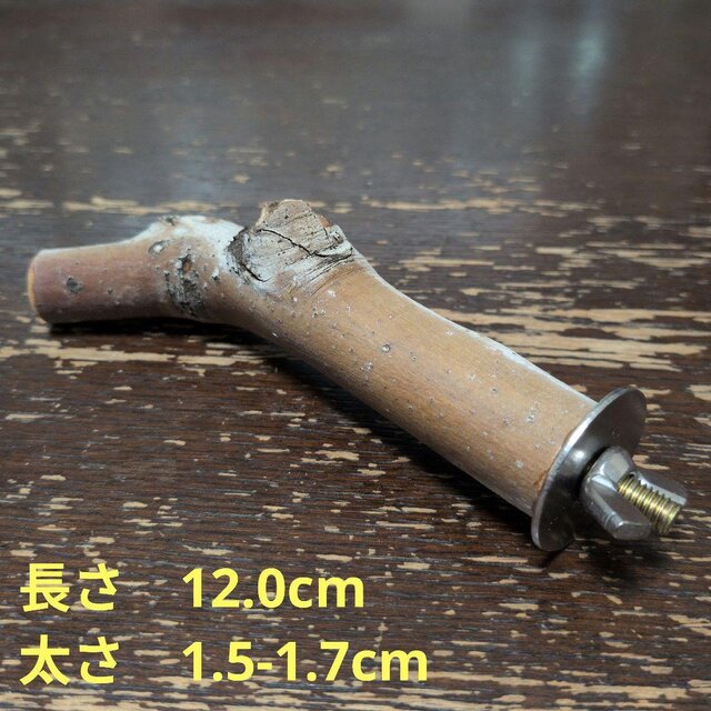 止まり木（枝：TOY-08-015）T624 | iichi 日々の暮らしを心地よくする