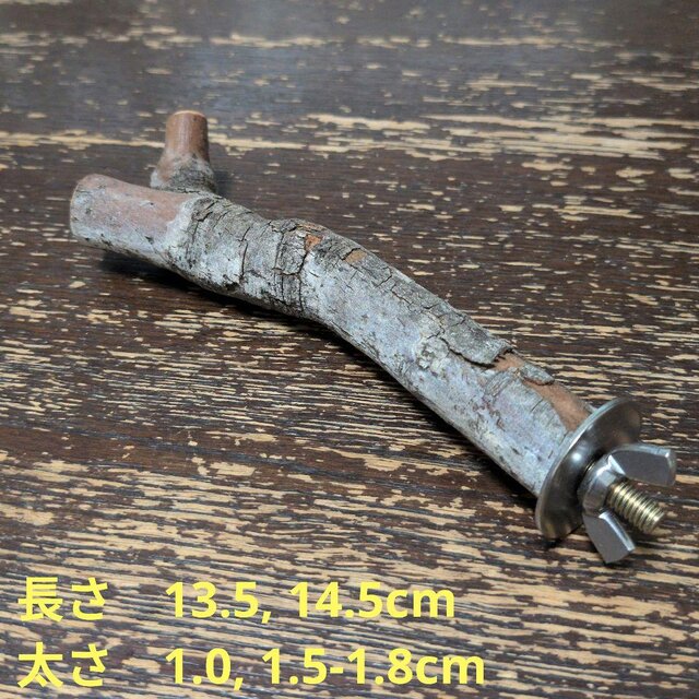 止まり木（枝：TOY-08-015）T625 | iichi 日々の暮らしを心地よくする