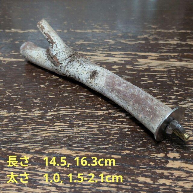 止まり木 miii 止まり木（枝：TOY-08-015）T626 | iichi 日々の暮らしを心地よくする