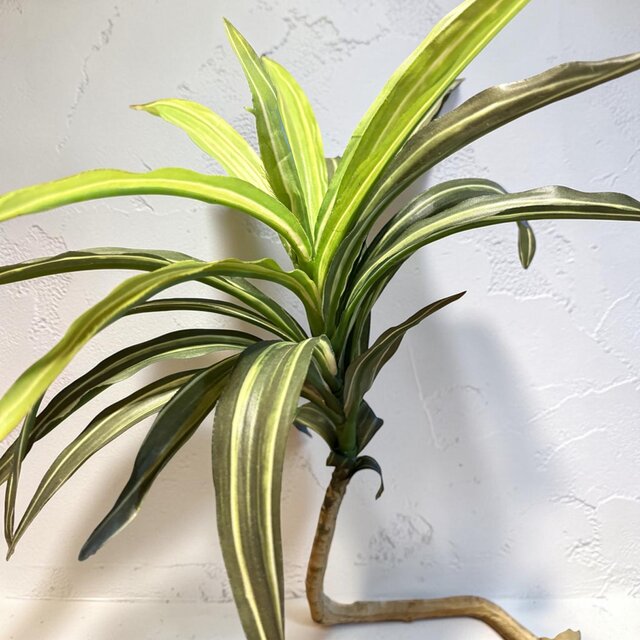 光触媒 人工観葉植物 ウォールグリーン フェイクグリーン コンシンネ