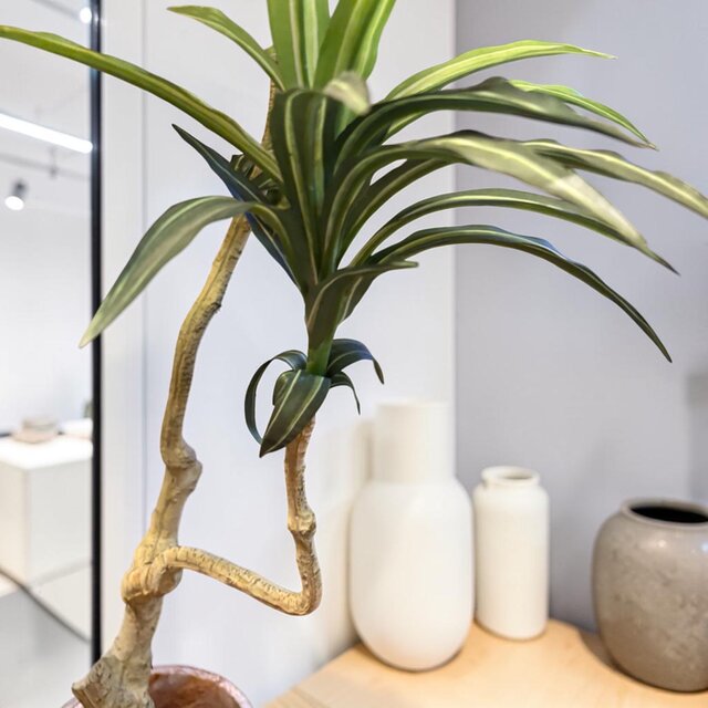 光触媒　人工観葉植物　ウォールグリーン　フェイクグリーン　ドラセナコンシンネ18 光触媒 人工観葉植物 ウォールグリーン フェイクグリーン コンシンネ