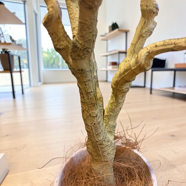 光触媒 人工観葉植物 ウォールグリーン フェイクグリーン コンシンネ