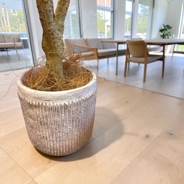 光触媒 人工観葉植物 ウォールグリーン フェイクグリーン コンシンネ