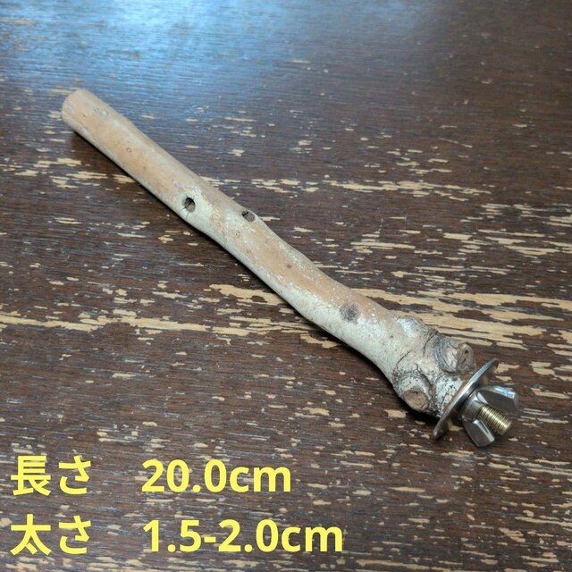 止まり木（枝：TOY-08-015）T629 | iichi 日々の暮らしを心地よくする