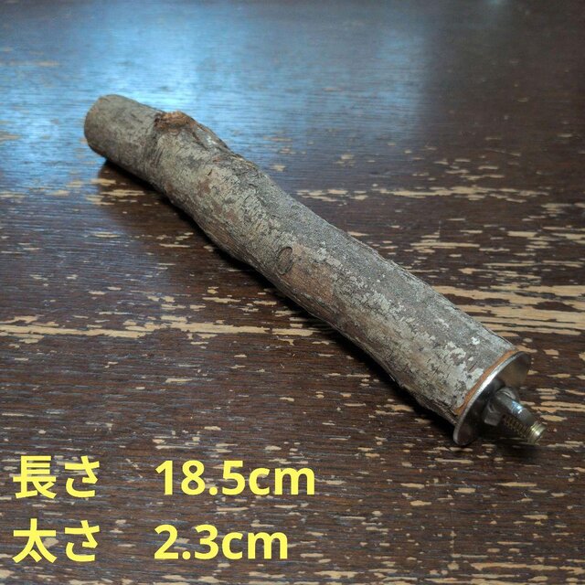 止まり木（枝：TOY-08-015）T633 | iichi 日々の暮らしを心地よくする