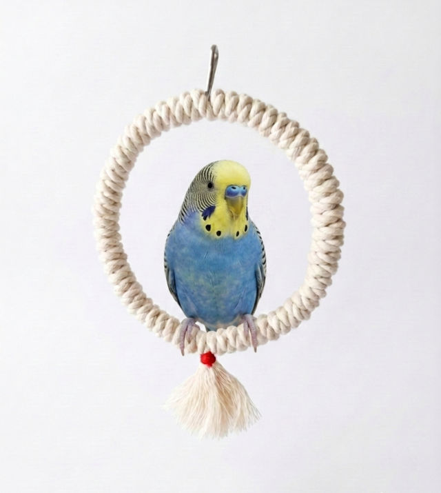 ロープのブランコ＜綿100%＞止まり木、文鳥、インコ、オウム、小鳥