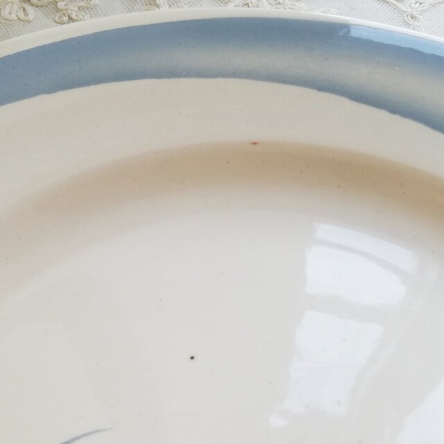 フランス SARREGUEMINES ANTINEA サルグミンヌ レッドローズ フラット